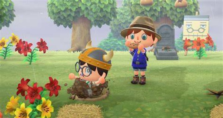 Animal Crossing New Horizons Pitfall Seeds