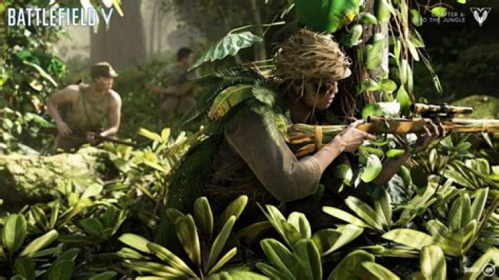 Battlefield V: Chapter 6 Into The Jungle.