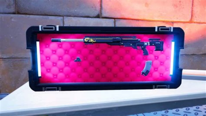 Fortnite Weapon Case