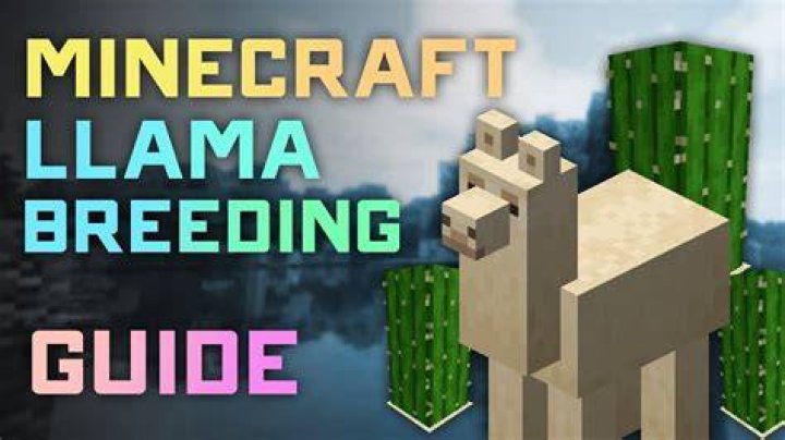 Minecraft: How to Breed Llamas