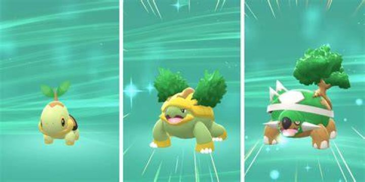 Pokémon BDSP Evolve Turtwig