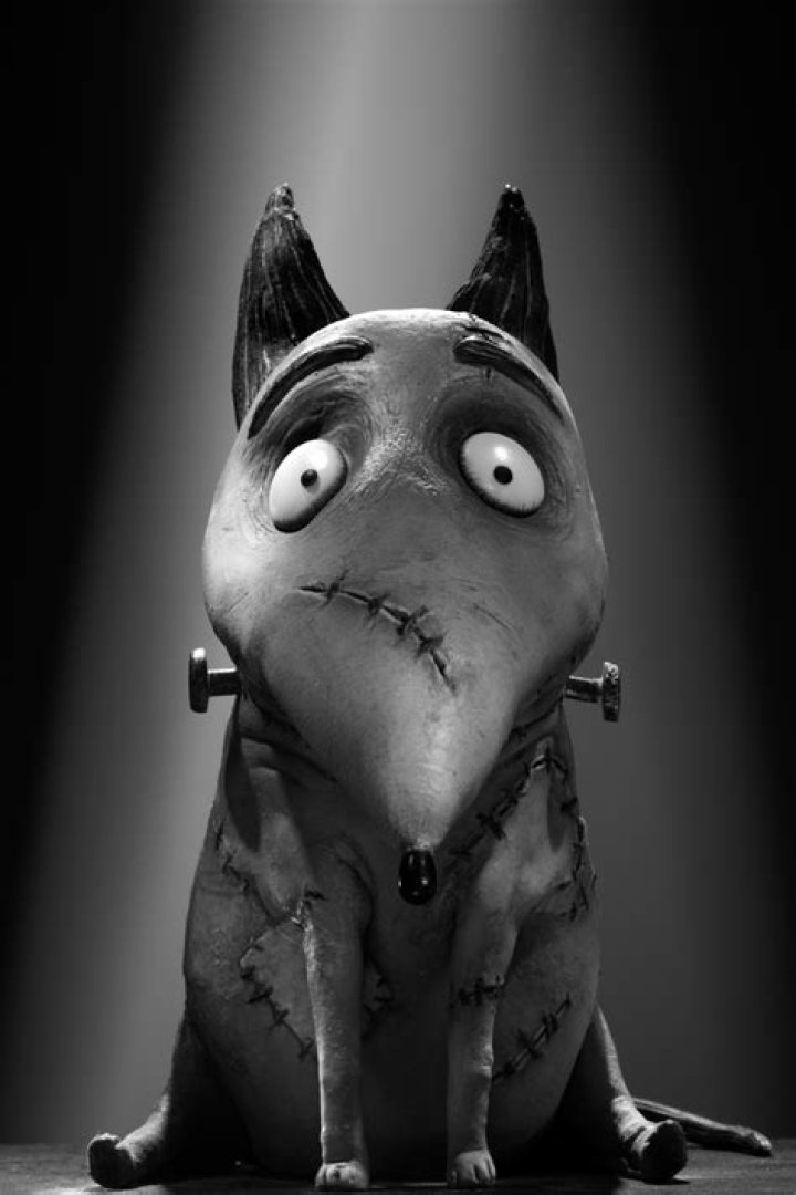 Tim Burton Frankenweenie