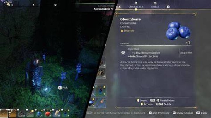 Valheim Guide - How to Get Berries